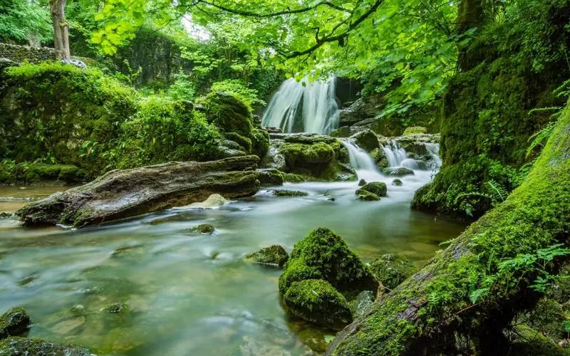 精密稳定性高效